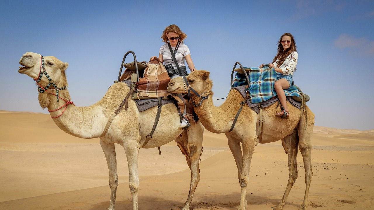 Camel Safari 